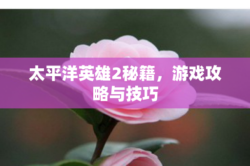 太平洋英雄2秘籍图片