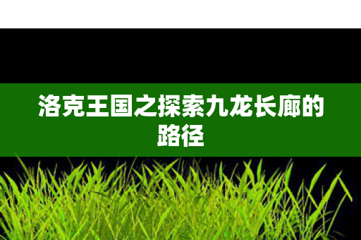 洛克王国之探索九龙长廊的路径图片