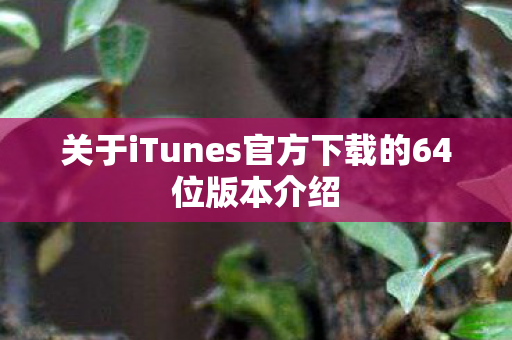 关于iTunes官方下载的64位版本介绍图片