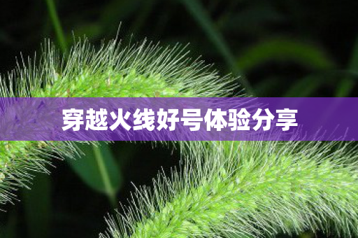 穿越火线好号体验分享图片
