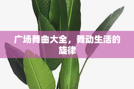 舞动生活的旋律图片