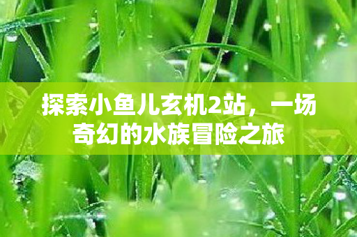 一场奇幻的水族冒险之旅图片