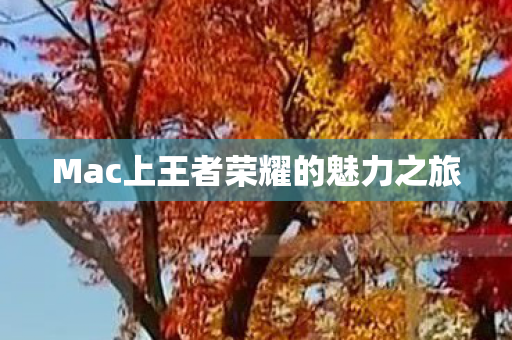 Mac上王者荣耀的魅力之旅图片