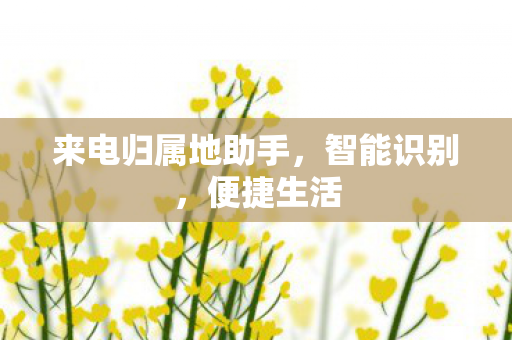 来电归属地助手图片