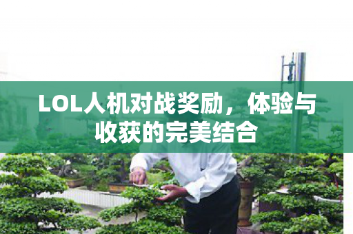 体验与收获的完美结合图片