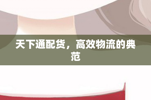 高效物流的典范图片