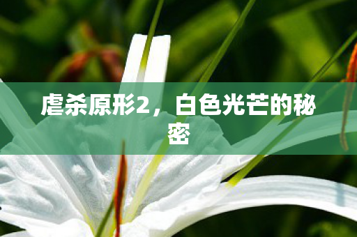 白色光芒的秘密图片