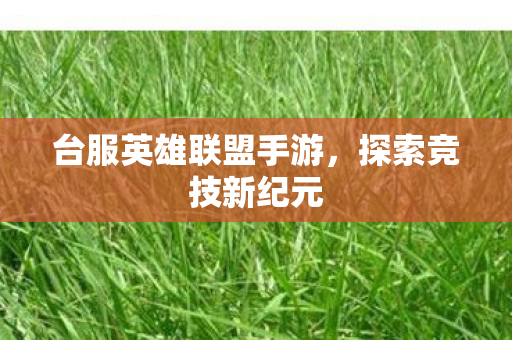 台服英雄联盟手游图片