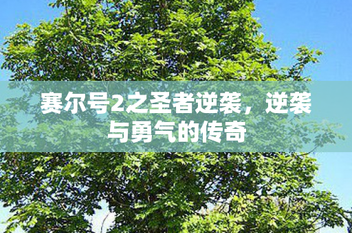 赛尔号2之圣者逆袭图片