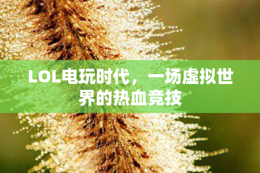 一场虚拟世界的热血竞技图片