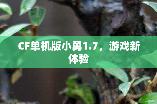CF单机版小勇1图片