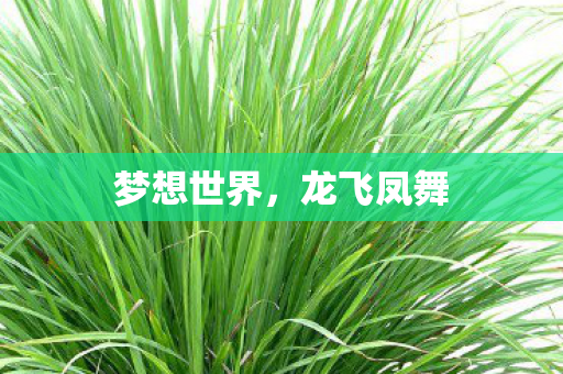梦想世界图片