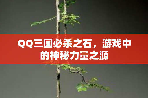 游戏中的神秘力量之源图片