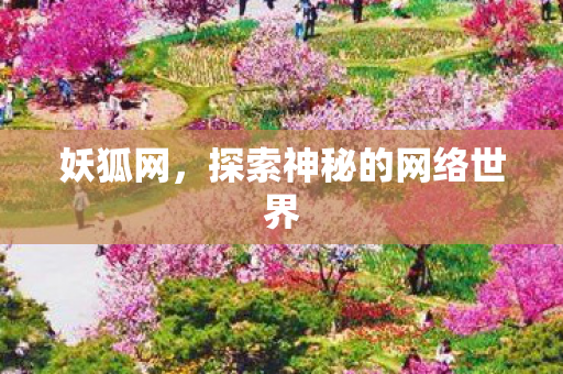 探索神秘的网络世界图片