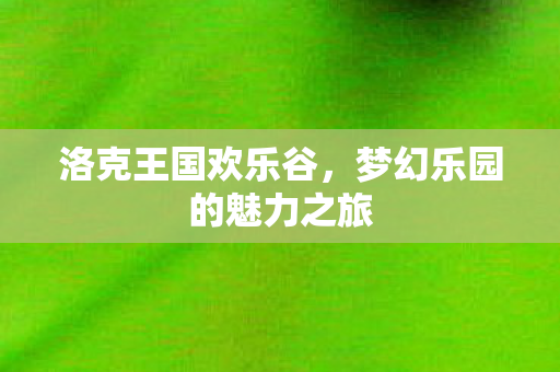 梦幻乐园的魅力之旅图片