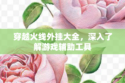 深入了解游戏辅助工具图片