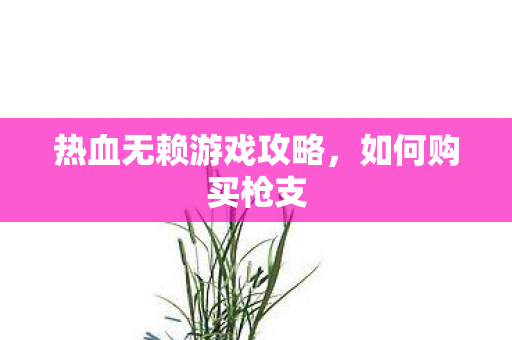 热血无赖游戏攻略图片