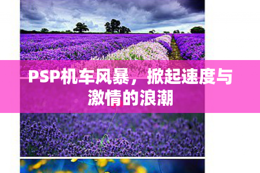 掀起速度与激情的浪潮图片