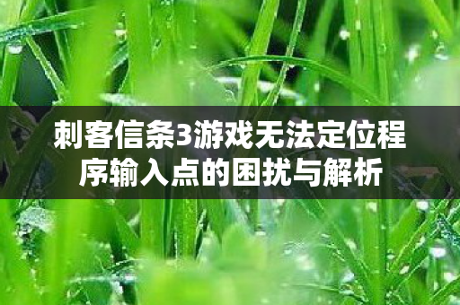 刺客信条3游戏无法定位程序输入点的困扰与解析图片