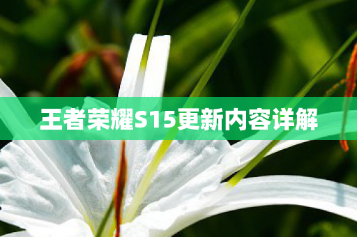 王者荣耀S15更新内容详解图片