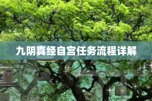 九阴真经自宫任务流程详解图片
