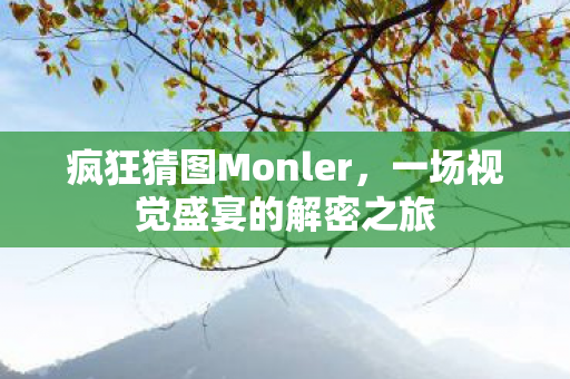 一场视觉盛宴的解密之旅图片