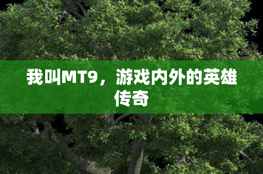 游戏内外的英雄传奇图片