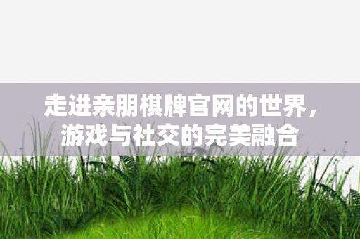 走进亲朋棋牌官网的世界图片