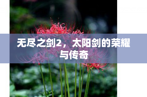 太阳剑的荣耀与传奇图片
