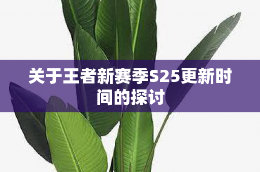 关于王者新赛季S25更新时间的探讨图片