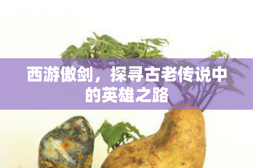 探寻古老传说中的英雄之路图片