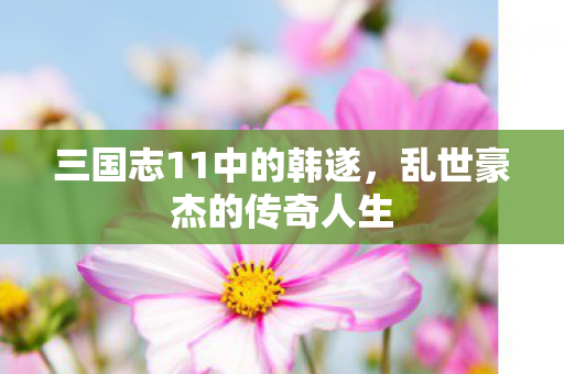 三国志11中的韩遂图片