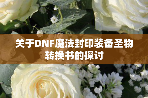 关于DNF魔法封印装备圣物转换书的探讨图片
