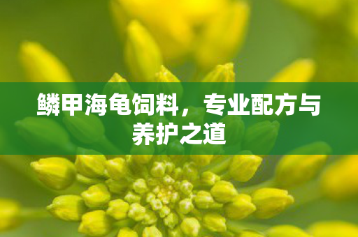 专业配方与养护之道图片