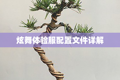 炫舞体验服配置文件详解图片