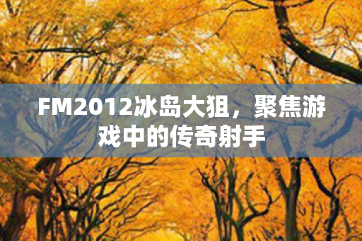 FM2012冰岛大狙图片