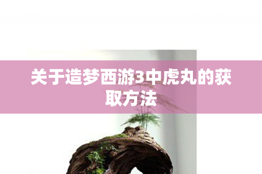 关于造梦西游3中虎丸的获取方法图片