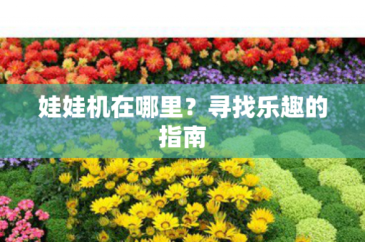 寻找乐趣的指南图片