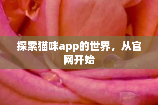 探索猫咪app的世界图片