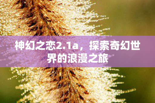 探索奇幻世界的浪漫之旅图片