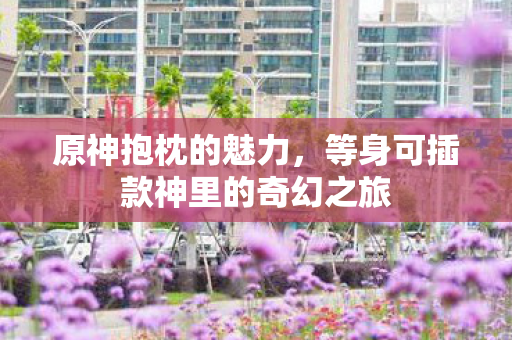 等身可插款神里的奇幻之旅图片