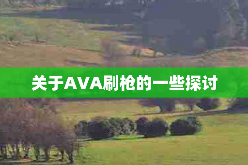 关于AVA刷枪的一些探讨图片