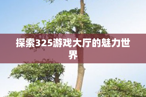 探索325游戏大厅的魅力世界图片