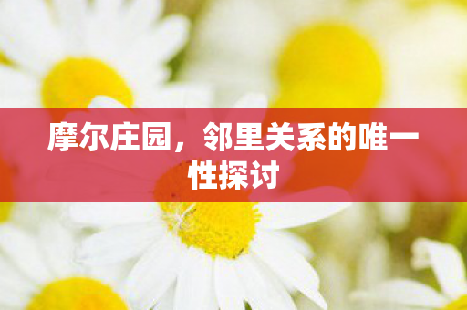 邻里关系的唯一性探讨图片
