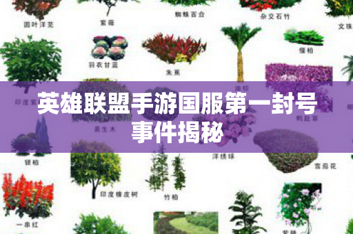 英雄联盟手游国服第一封号事件揭秘图片