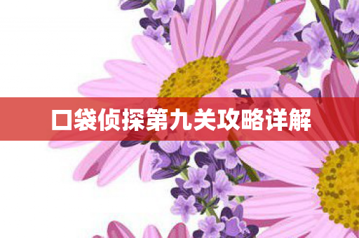 口袋侦探第九关攻略详解图片