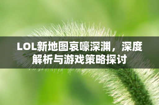 深度解析与游戏策略探讨图片