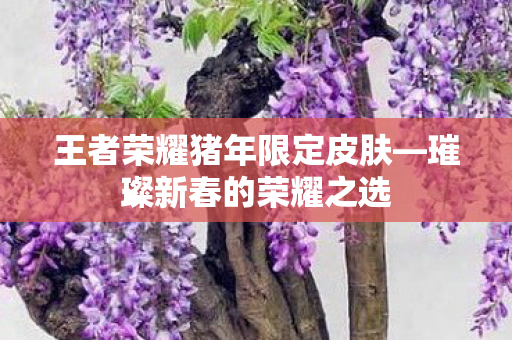 王者荣耀猪年限定皮肤图片