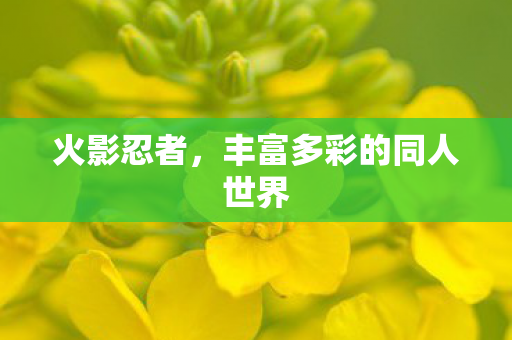 丰富多彩的同人世界图片