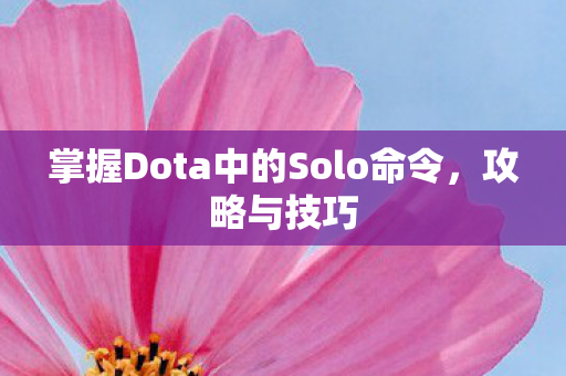 掌握Dota中的Solo命令图片